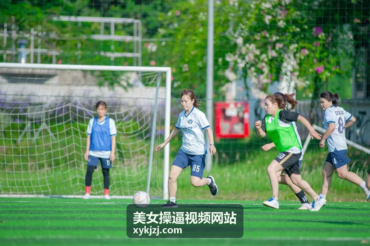 美女操逼视频网站观看指南封面图